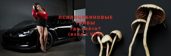 ешки Абинск