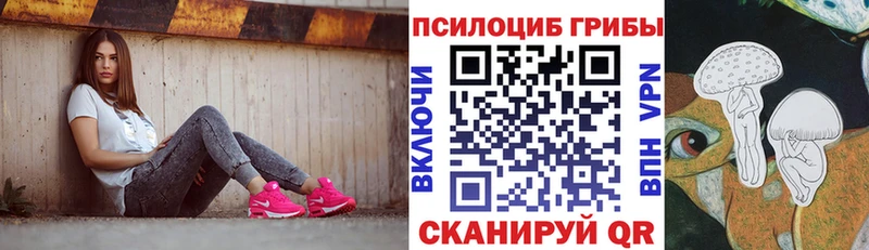 Галлюциногенные грибы Psilocybe Ряжск