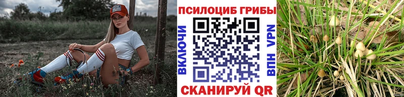 наркота  Ряжск  Псилоцибиновые грибы прущие грибы 